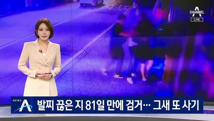 전자발찌 끊은 지 81일 만에 검거…그새 또 사기 행각