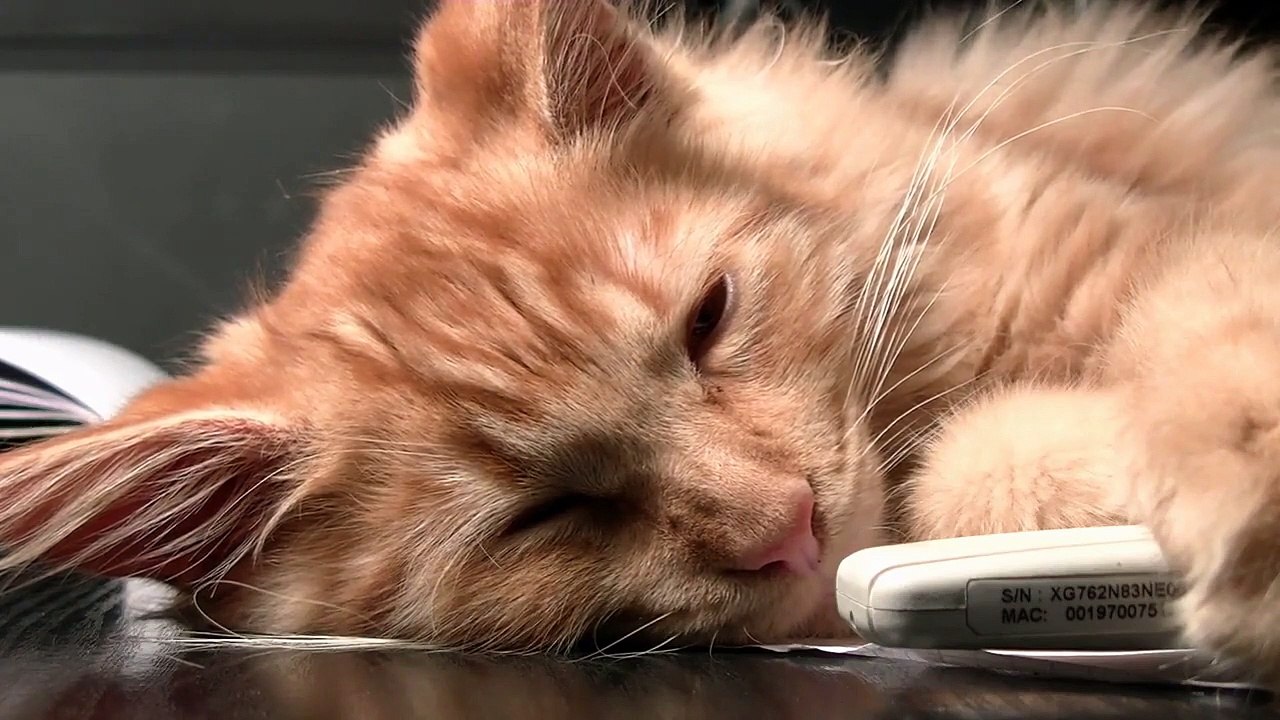 Deep Sleep Music