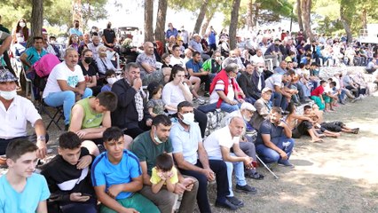 Pehlivanlar ‘incir’ için er meydanına çıktı