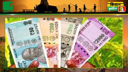 Fish farmers will get 90 percent subsidy for new pond and hatchery | Agri News Bulletin | Green TV