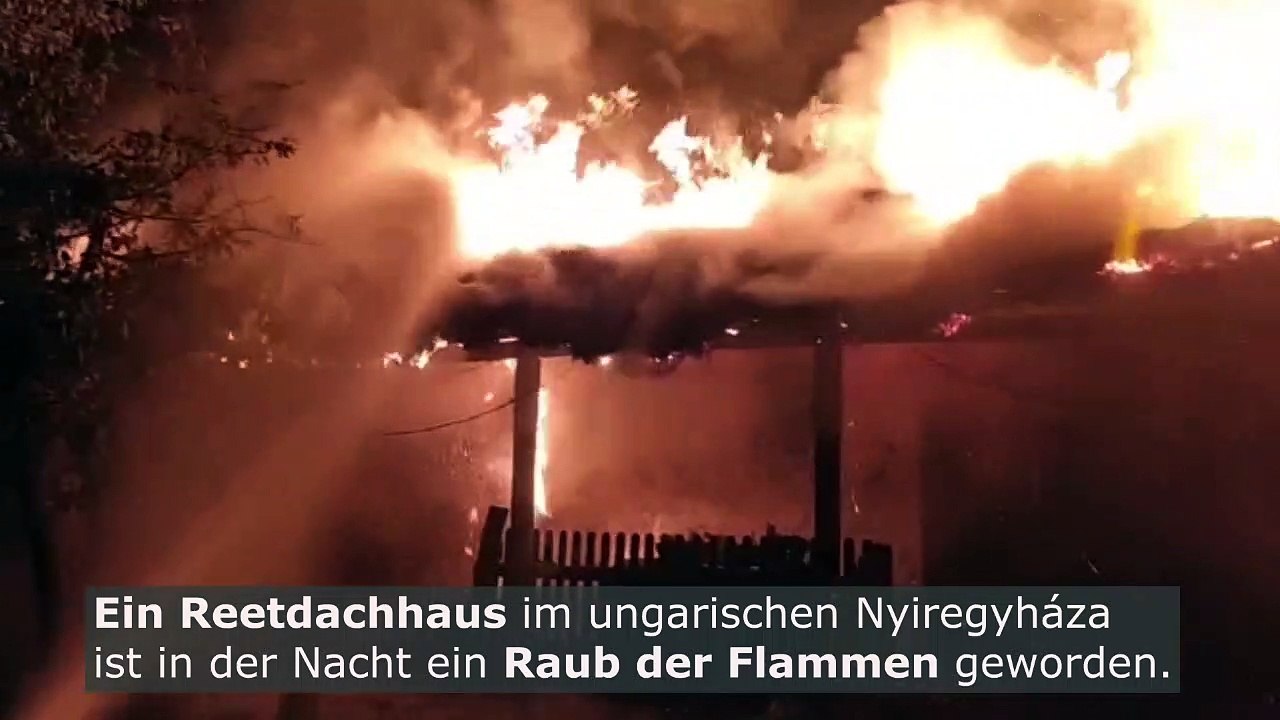 Ungarn: reetdachhaus in vollbrand