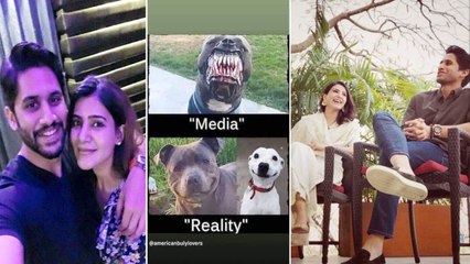 Naga Chaitanya Samantha విడాకులు వివాదానికి చెక్.. ఎందుకీ లొల్లి !