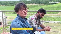 Dans l'Yonne, des étudiants étrangers à la découverte des vignobles pour sortir de l'isolement