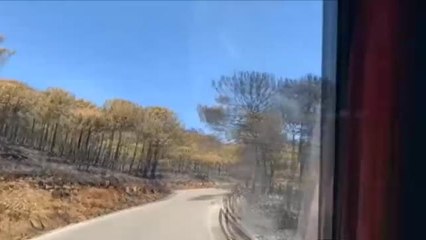 14 especies de invertebrados podrían haber desaparecido para siempre en Sierra Bermeja