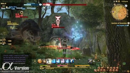 Final Fantasy XIV: Quests and Combat