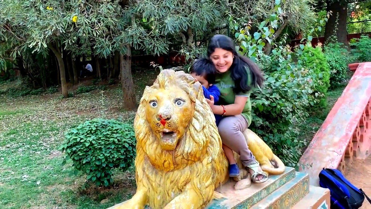 lion