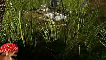 Miasmata: Gameplay: Perdido, Sin Rumbo Fijo