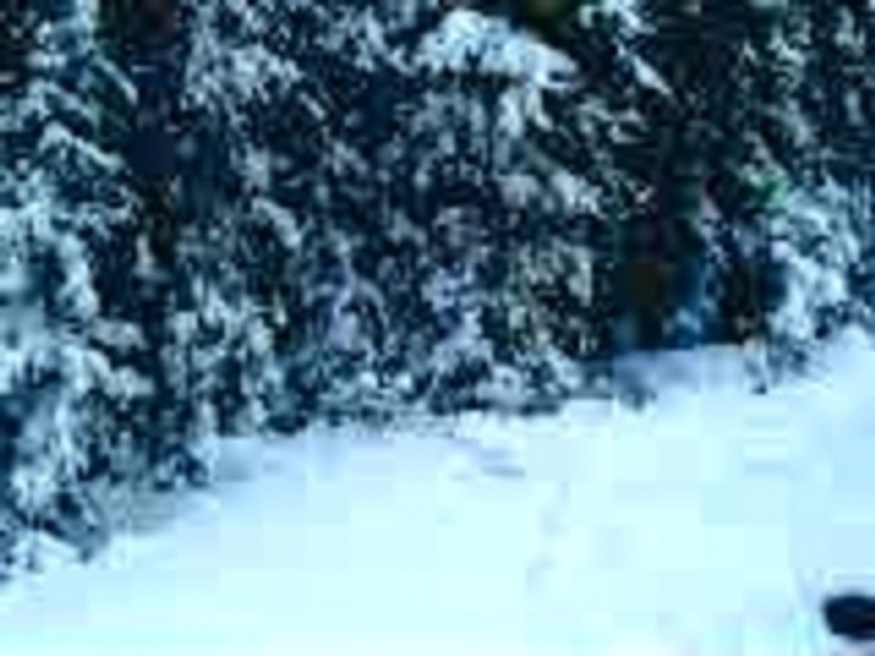 The First Sylvanic Video