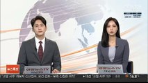 서울 한복판서 당나귀 2마리 출몰…