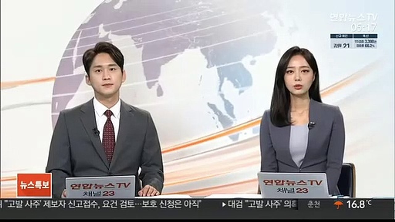 서울 한복판서 당나귀 2마리 출몰…"네번째 탈출"