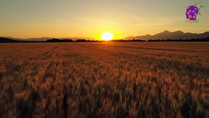 intro-logo-15-min-20210910-212830