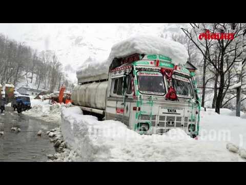 पांढरा राक्षस कोपला घेतला ६ जणांचा बळी | lokmat News Update | Lokmat News