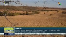 Pantanal brasileño vive máxima sequía en últimos 50 años