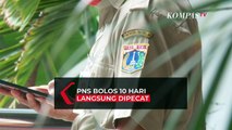 Aturan Baru! PNS Bolos 10 Hari Bisa Langsung Dipecat