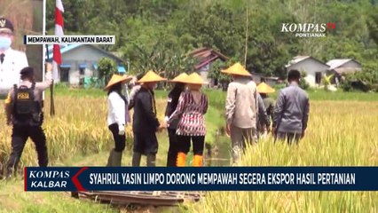 Mentan Dorong Mempawah segera Lakukan Ekspor Pertanian