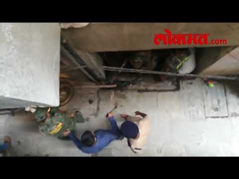 मुलुंड- सहा तासांच्या थरारानंतर बिबट्या जेरबंद