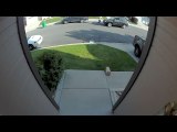 Clumsy Alleged Porch Pirates Fumble Down Porch