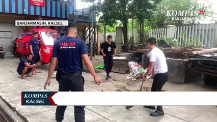 Petugas Damkar Tangkap Dua Ekor Ular Sanca yang Memangsa Ternak Warga