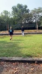 Deer Caught in Net Frees Itself