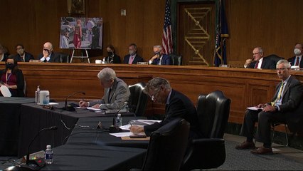 La comunidad internacional espera que Afganistan no se convierta en el refugio del terrorismo