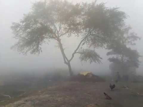 सांगली शहरासह परिसरावर धुक्याची चादर!