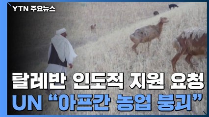 탈레반 "인도적 국제지원 필요"...아프간 농업 붕괴 / YTN