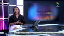 Afectaciones por intensa sequía, deforestación y políticas extractivistas marcan Brasil