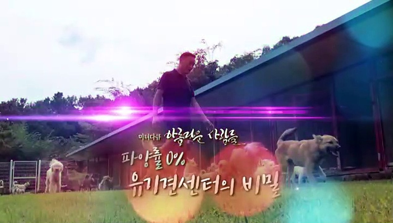 [미니다큐] 아름다운 사람들 - 171회 : 파양률 0% 유기견센터의 비밀