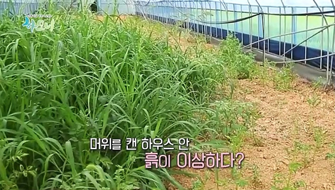 [하모니] 어서오세요 부부의 꿈이 자라는 희망농장입니다 - 5부