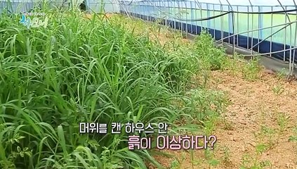 [하모니] 어서오세요 부부의 꿈이 자라는 희망농장입니다 - 5부
