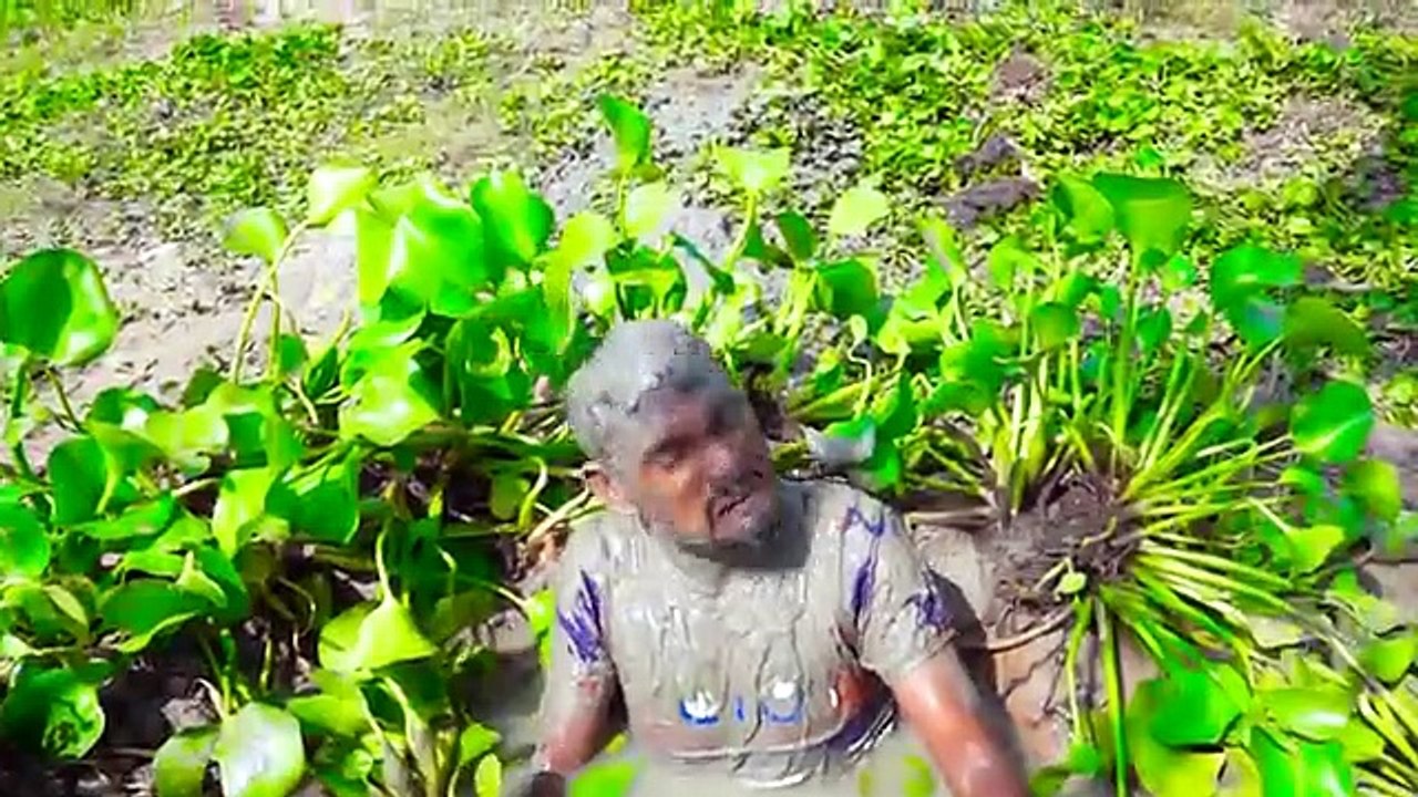 पागलों की टोली | हँसते हँसते पागल हो जाओगे | Must Watch New Funny Video 2021 Top New Comedy Video 2021 Try To Not Laugh Episode 2 by Manoranjan Company