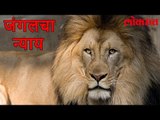Lokmat News | शिकाऱ्याचीच झाली शिकार | Video पाहून व्हाल थक्क | Karma | Lokmat Marathi News