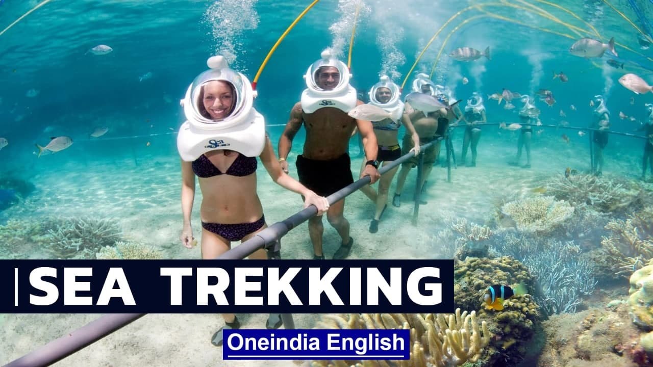 Hiking Underwater Video | Exploring The Ocean W...