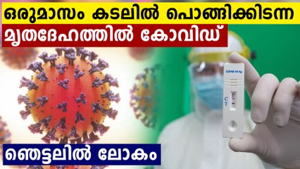 Body found floating in sea for 30 days tests positive for Covid; Report