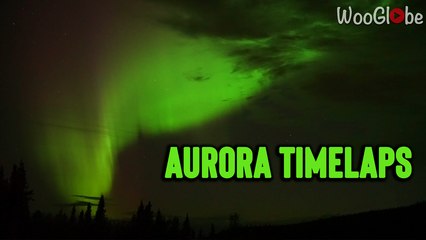 'Breathtaking Aurora in Alaska | Timelapse of Stunning Green Lights Gracing the Sky Above Dalton Highway'