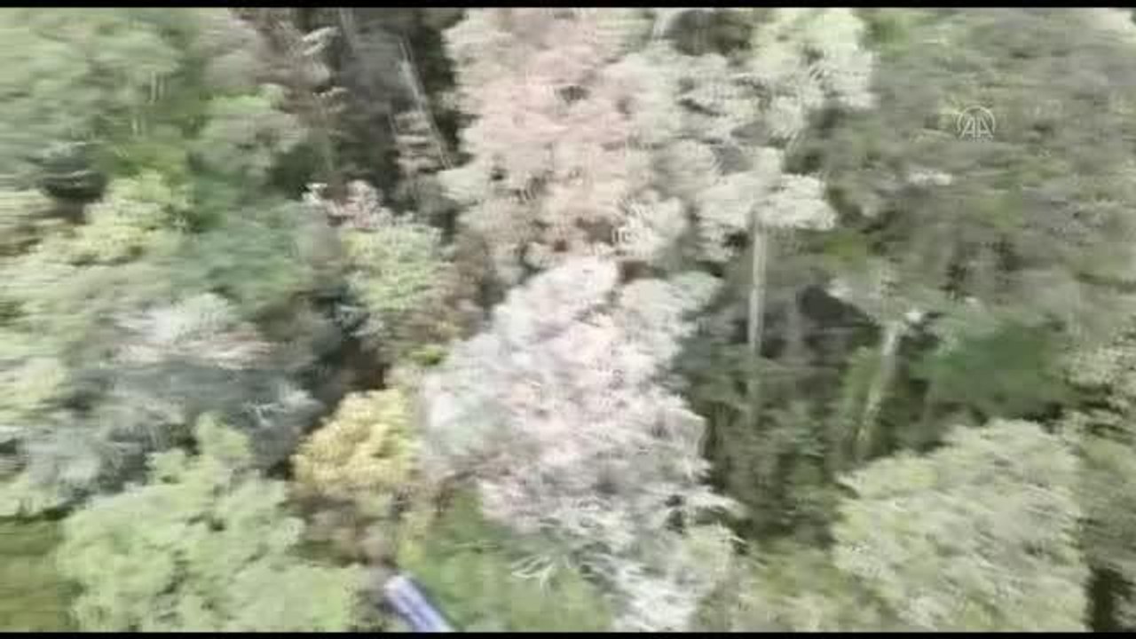 ENDONEZYA - Endonezya'da kargo uçağı düştü