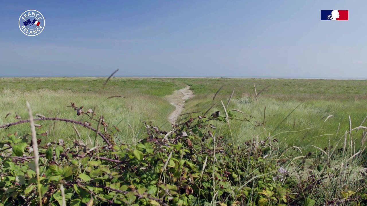 Parc des marais du Cotentin et du Bessin