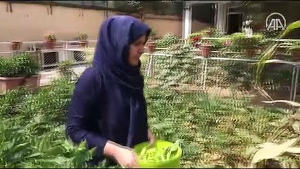 Afganistan'da yaşayan Türk girişimci: Dönmeyi düşünmüyorum, burada rahatım