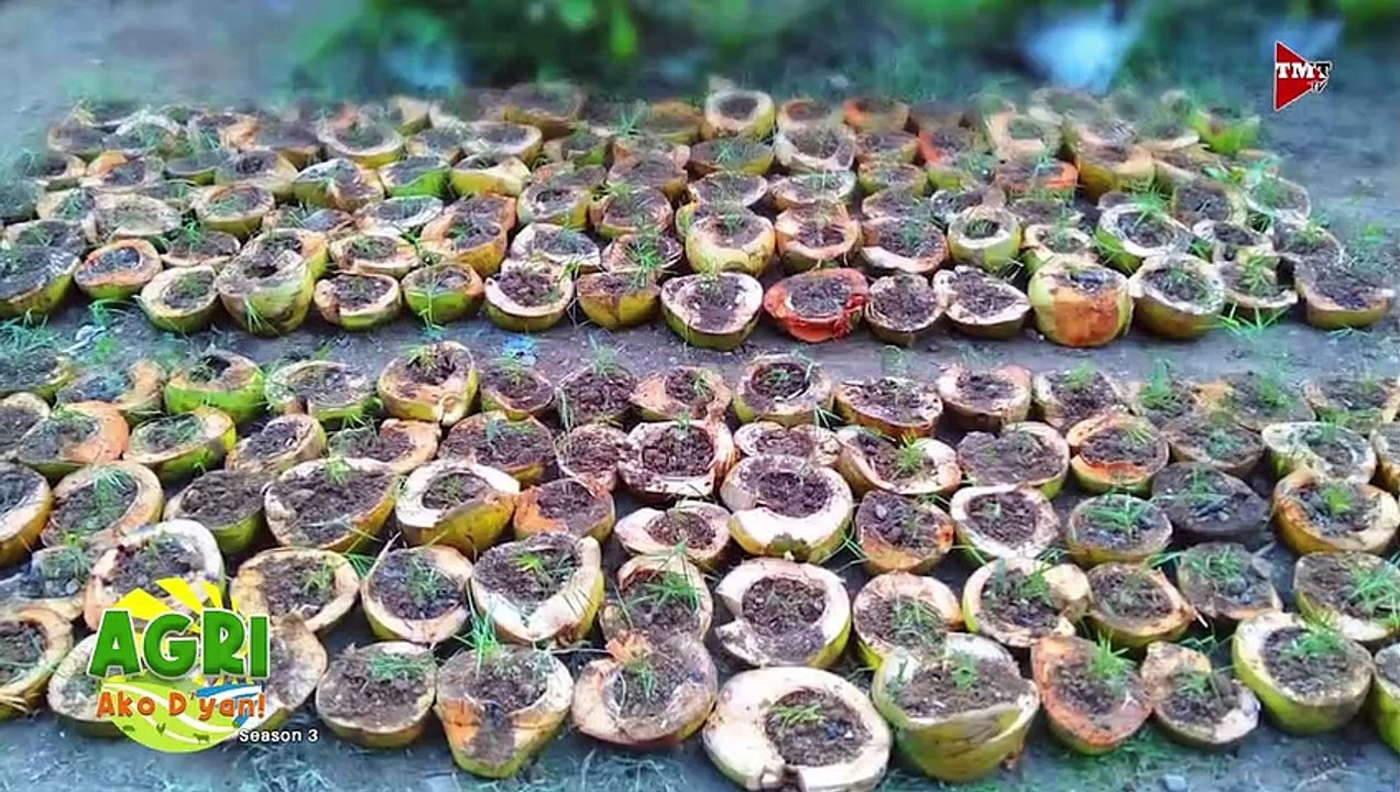 Bambuhay