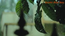 Healing Music for 27 minutes while raining; Relaxing Music in Rian; Peaceful Music Dose