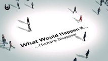 What Would Happen If Humans Suddenly Disappeared  Unveiled