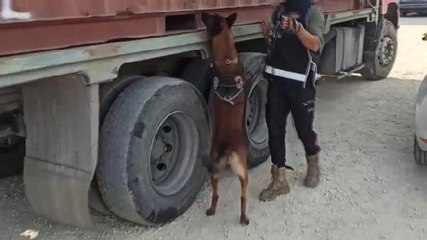 BÜYÜKÇEMECE'DE 7 MİLYON DEĞERİNDE KAÇAK TÜTÜN, CİNSEL İÇERİKLİ JEL VE PARFÜM YAKALANDI