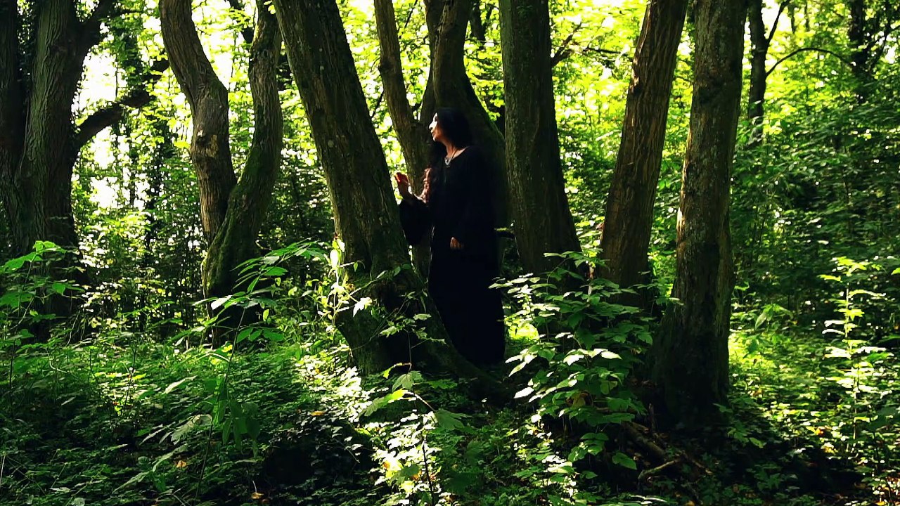 Halloween -  ein eigensinniger geist / a wilful ghost