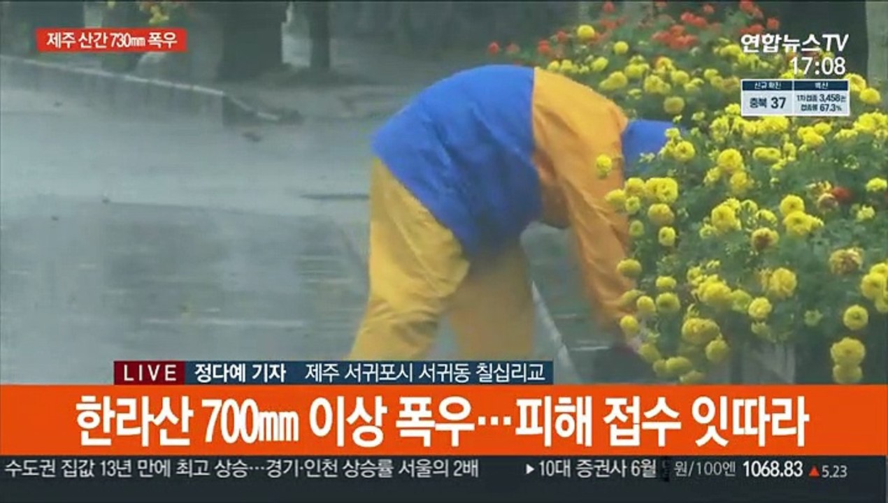 제주 전역 강풍주의보…내일부터 태풍 직접 영향권