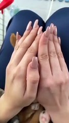 My puppy is playing hide and seek with me