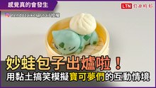 妙蛙包子出爐啦！ 用黏土搞笑模擬「寶可夢們」的互動情境