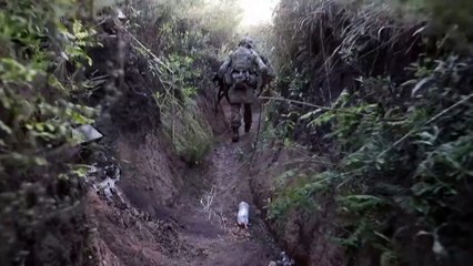 Ukraine : un quatrième soldat tué en trois jours dans le Donbass