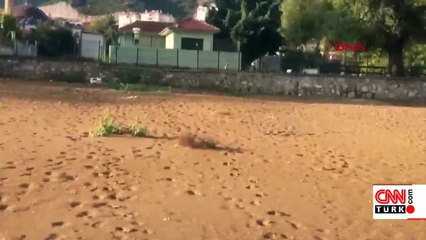 Eğirdir'e kanalizasyon mu dökülüyor?