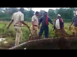 नाशिकमध्ये बिबट्या विहिरीतून सुखरुप बाहेर