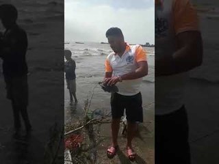 दुर्मीळ कासवांना मच्छिमारांनी दिले जीवदान